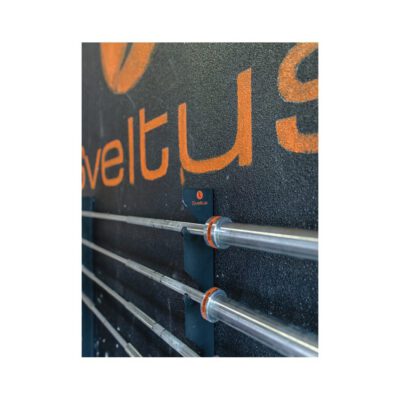 SVELTUS WALL BAR SHELVES