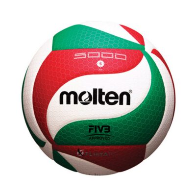 BOLA VOLEIBOL MOLTEN V5M5000